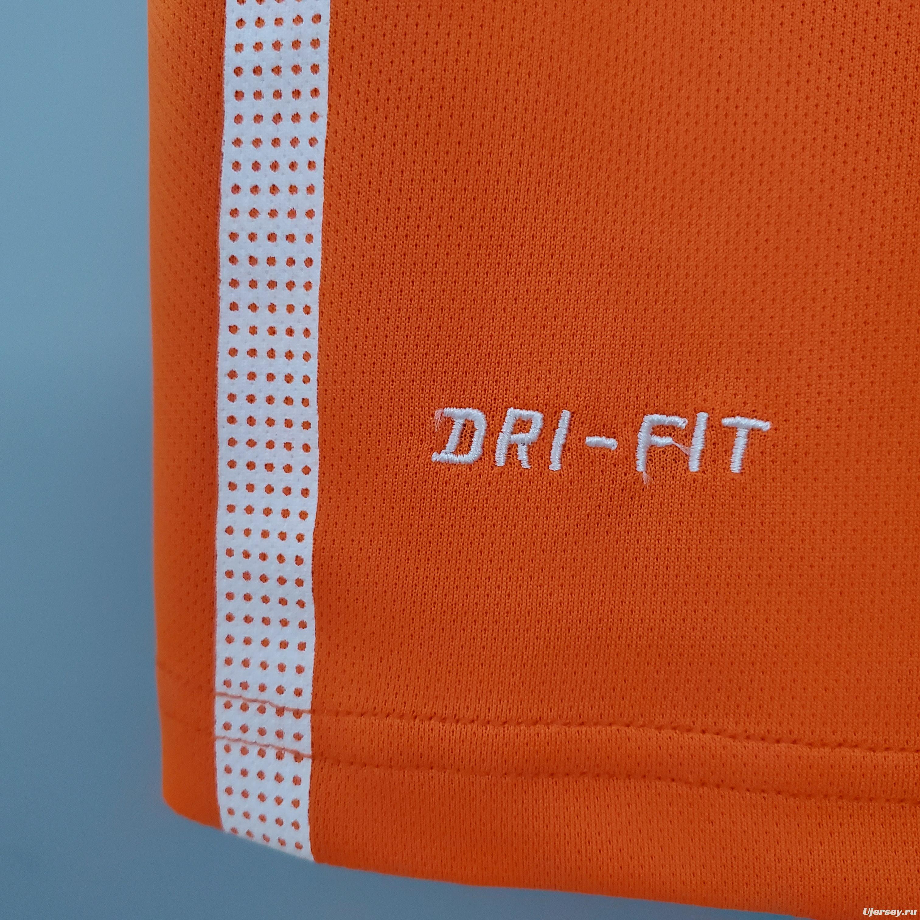 Retro Netherlands 2010 home Soccer Jersey