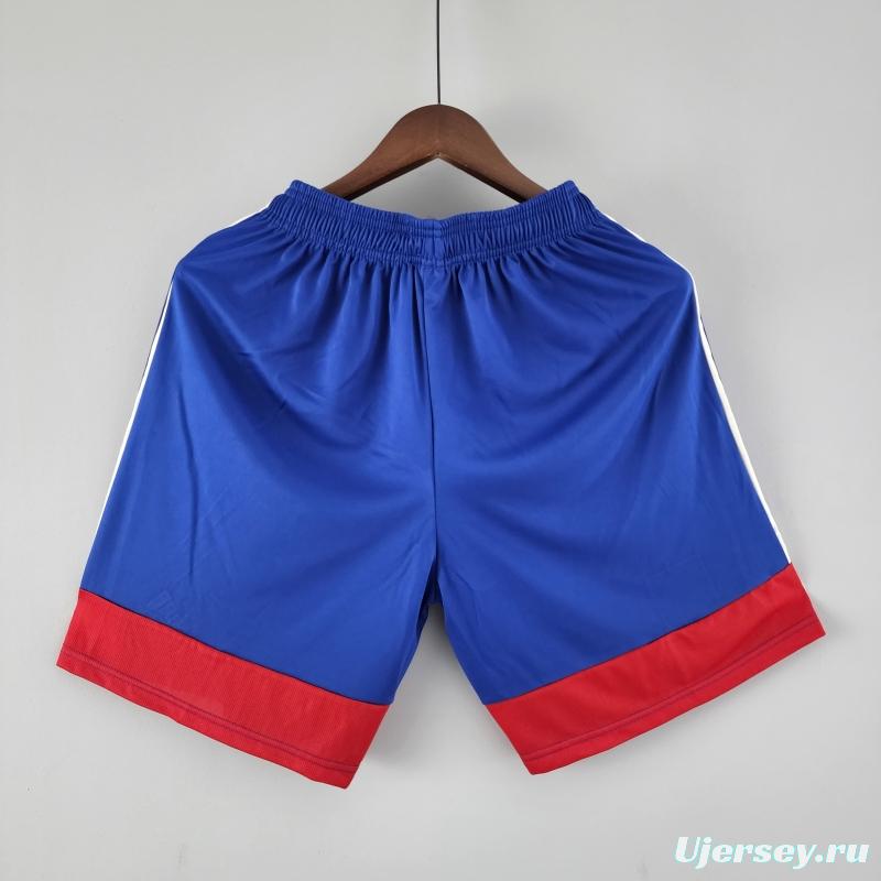 22/23 Lyon Shorts Third Soccer Shorts