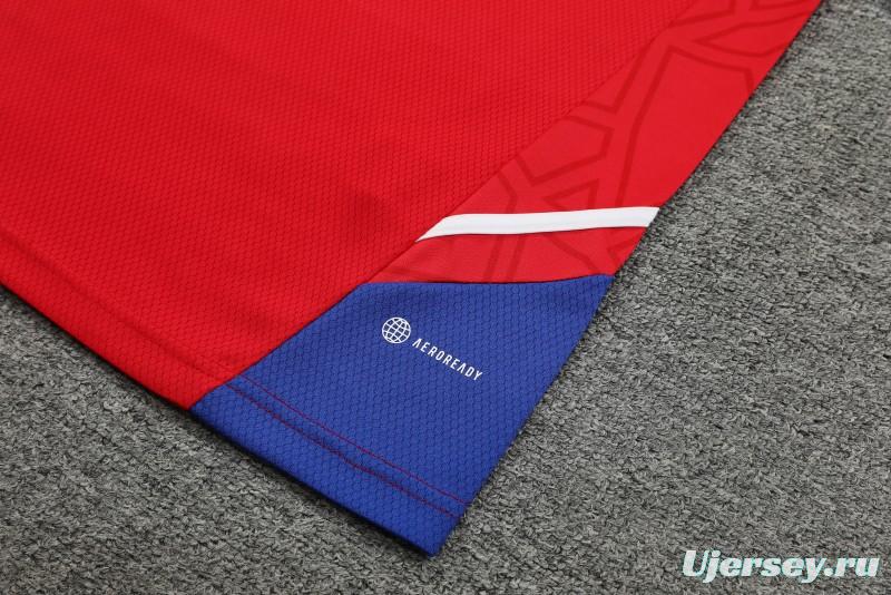 23-24 Bayern Munich Red/Blue Vest Jersey+Shorts