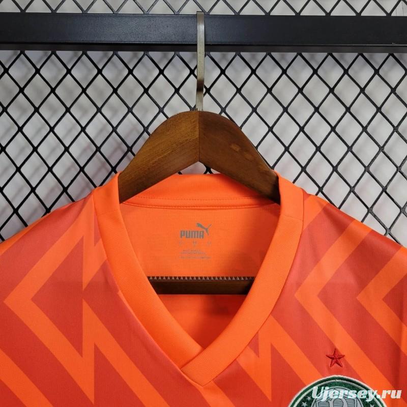 24/25 Palmeiras Orange Goalkeeper