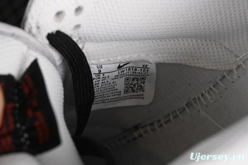 Nike SB Dunk Low Casual Skate Shoes - Anniversary Custom Edition in White/Grey/Black - LW1818-103