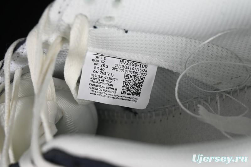 Nike SB Dunk Low Casual Skate Shoes in Minimalist Blue - HV2390-100