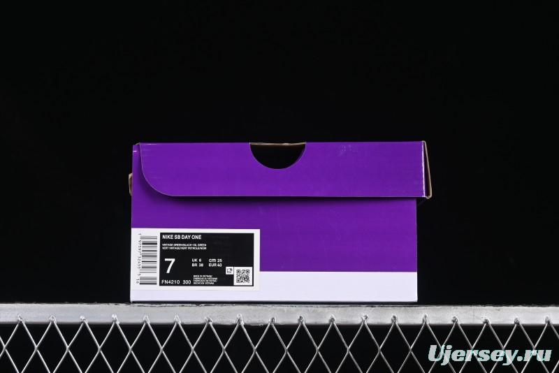 Nike SB Day One Low Top Casual Skate Shoes with Air Zoom Cushion - FN4210-300