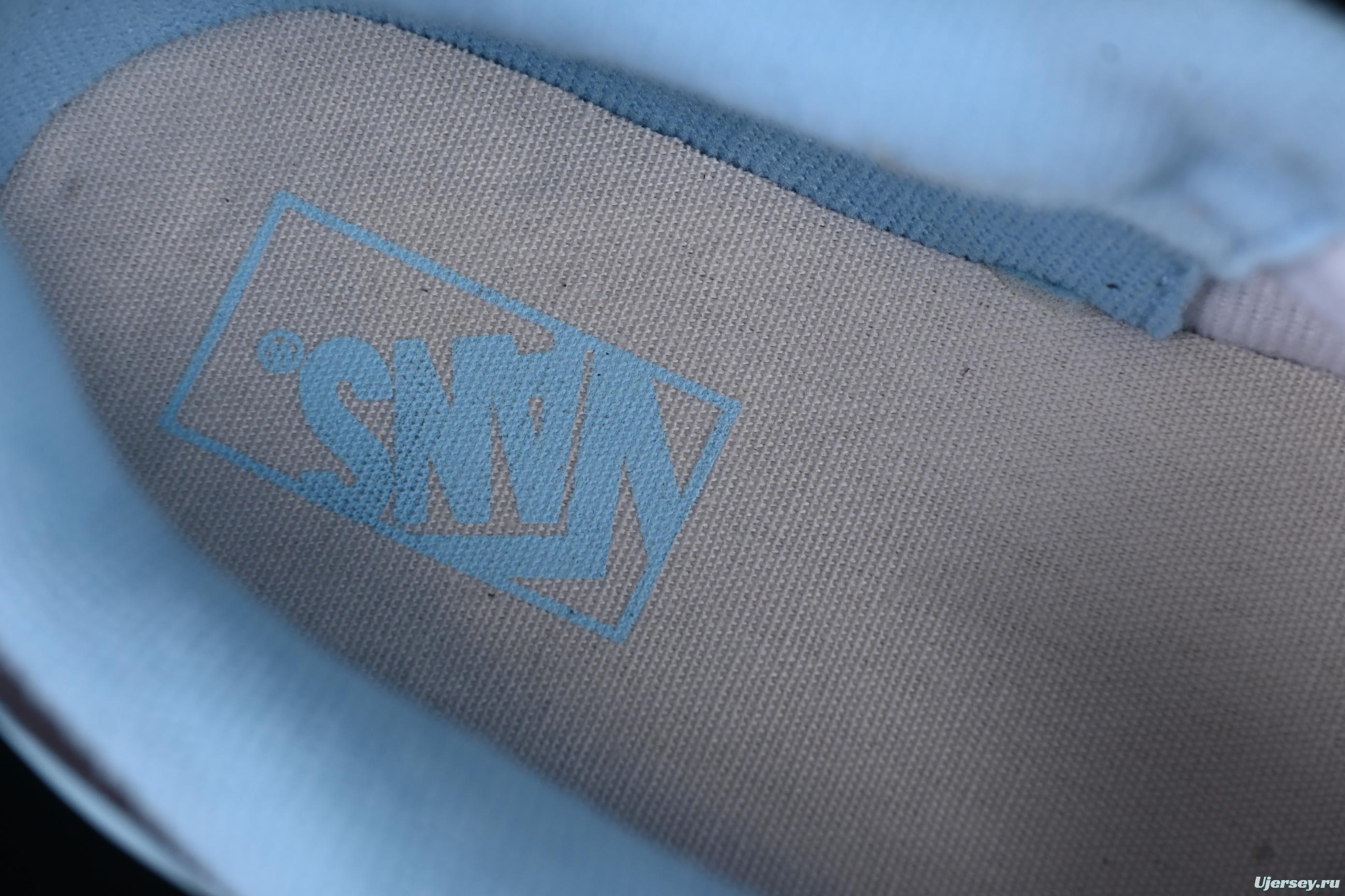 Men's Classic Skate Shoes with Light Blue Side Stripe – Suede and Canvas Design