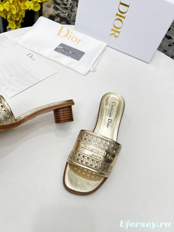 2025 Women Dior Gold Leather Slides
