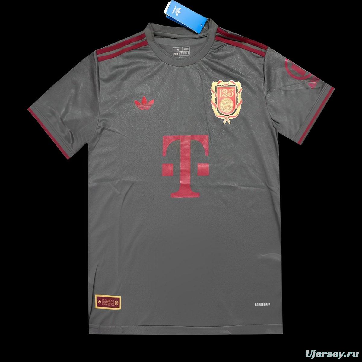 24/25 Bayern Munich 125 Anniversary Grey Jersey